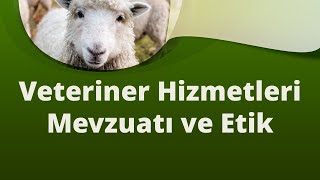 Veteriner Hizmetleri Mevzuatı ve Etik Dersi Çözümlü Sınav Soruları | ✅