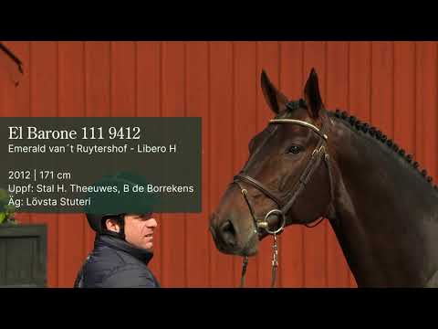 El Barone 111 9412 stallion show 2021