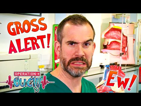 Weird Body Facts! 🤢 | Science for Kids | Operation Ouch
