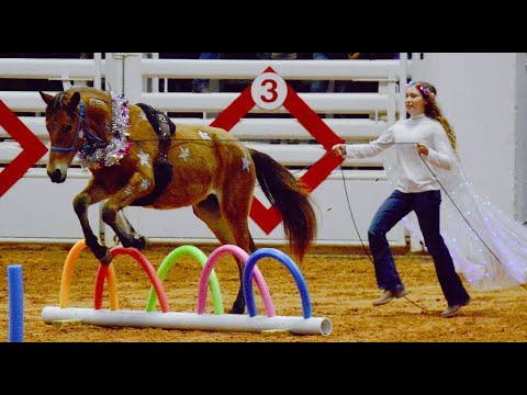 extreme mustang makeover 2020 freestyle