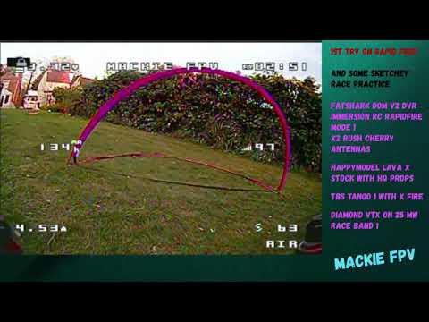 TOOTHPICK PRACTICE AND RAPID FIRE TEST - LARVA X