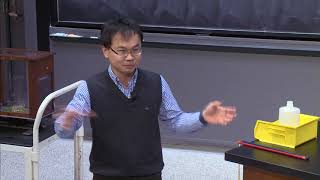 20. Interference, Soap Bubble