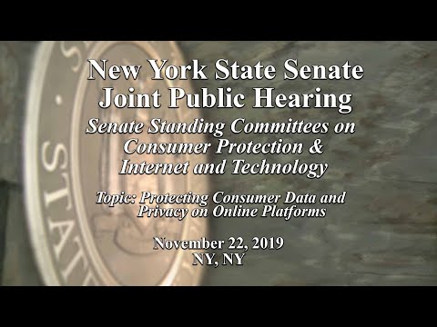 Senate Committees on Consumer Protection & Internet and Technology Public Hearing - 11/22/19