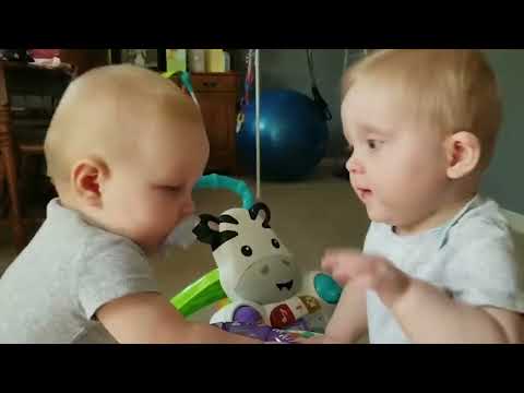 Funny Twins Babies Fighting Everyday - Hilarious Baby Videos