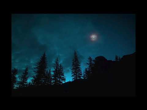 Soft sound of the night in the forest. Owls and Crickets - Relaxing Sounds - No Music