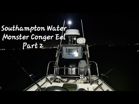 Southampton Water Boat Fishing Monster Conger Eel Big Fish Boat Fishing Southcoast United Kingdom