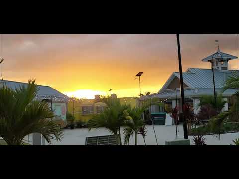 Walking Hearts feat. Christine Smit - Trenches and Barbed Wire