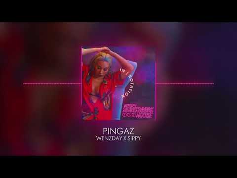 Wenzday - "Pingaz" ft. Sippy (Visualizer)