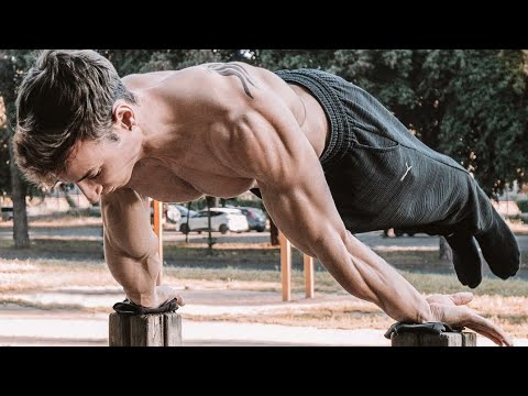 World's Strongest Calisthenics & Street Workout - Andrea Larosa