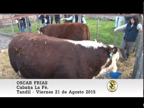 21-08-15 Nota Oscar Frias - Cabaña La Fè de Frias - Tandil.