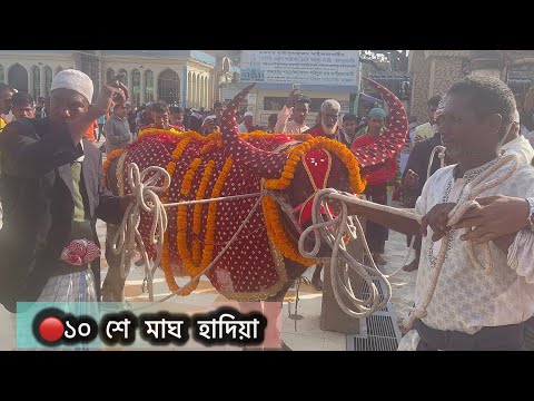 2025 🛑 Live- মাইজভান্ডার দরবার শরীফ মহান ১০ মাঘ ওরশ শরীফ হাদিয়া ২০২৫ | Maizbhander Dorbar Sharif