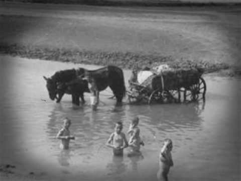 Doina Oltului / Olt river song