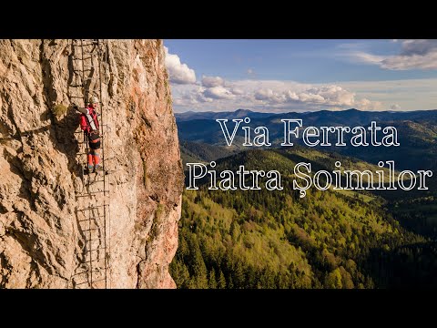 Via Ferrata grad E Piatra Soimilor / Falco Tinnunculus