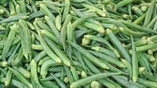 Khalilabad market live video, live streaming, YouTube live, viral video #short#shortfeed 