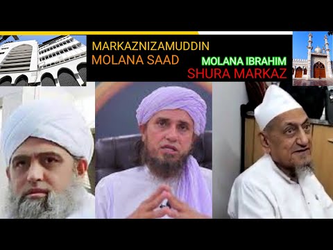 Which is better Markaz Nizamuddin or Shura in Delhi?Maulana Ibrahim or Maulana Saad Sahab सही कौन है