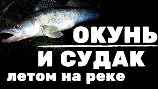 Окунь летом на реке