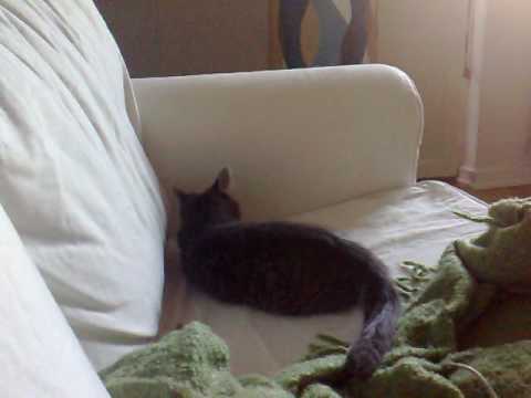 YouTube Preview Image