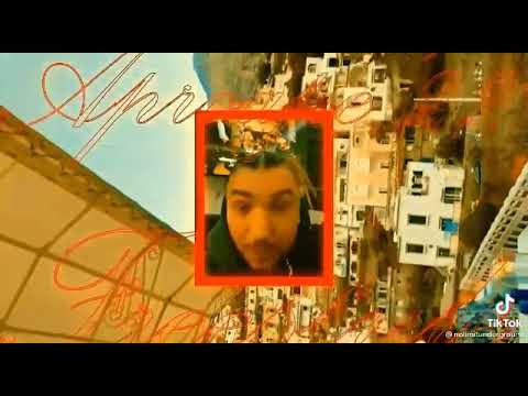 POLLY ✘ @Luis Gabriel