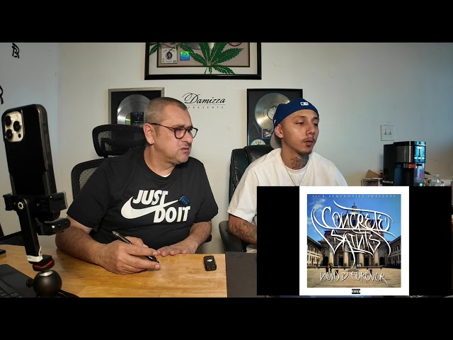 Damizza Synergy Song Review