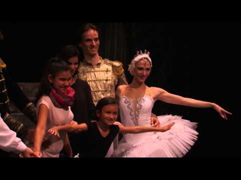 Černé labutě letí do světa