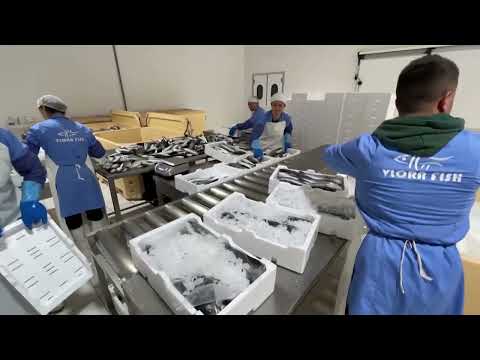 Klan News - INSTAT: Shtrenjtohet jetesa në Shqipëri