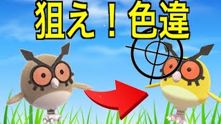 ホーホー ポケットモンスター ヤトウモリ ホルビー ギガイアス