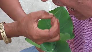 [Desi Remedy] Worm remove from tooth with the help of small root.