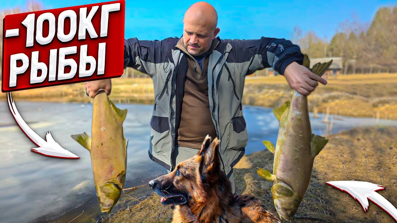 Счастье вернуться домой и встреча питомцев. Самый крупный, но печальный улов