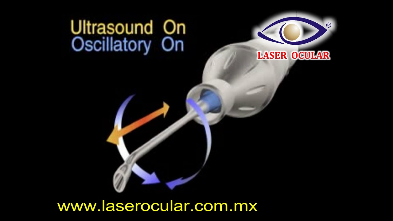 Fabiola De Orta Arellano-13