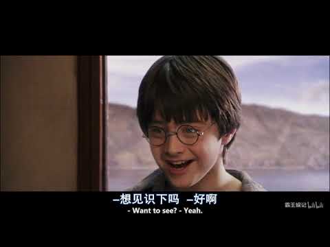 【哈利波特與魔法石】哈利波特，羅恩，赫敏三人第一次相見 (【哈利波特与魔法石】哈利波特，罗恩，赫敏三人第一次相见)