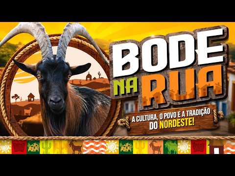 24º BODE NA RUA - GURJÃO - PB 2026 -  4º ORDENHA