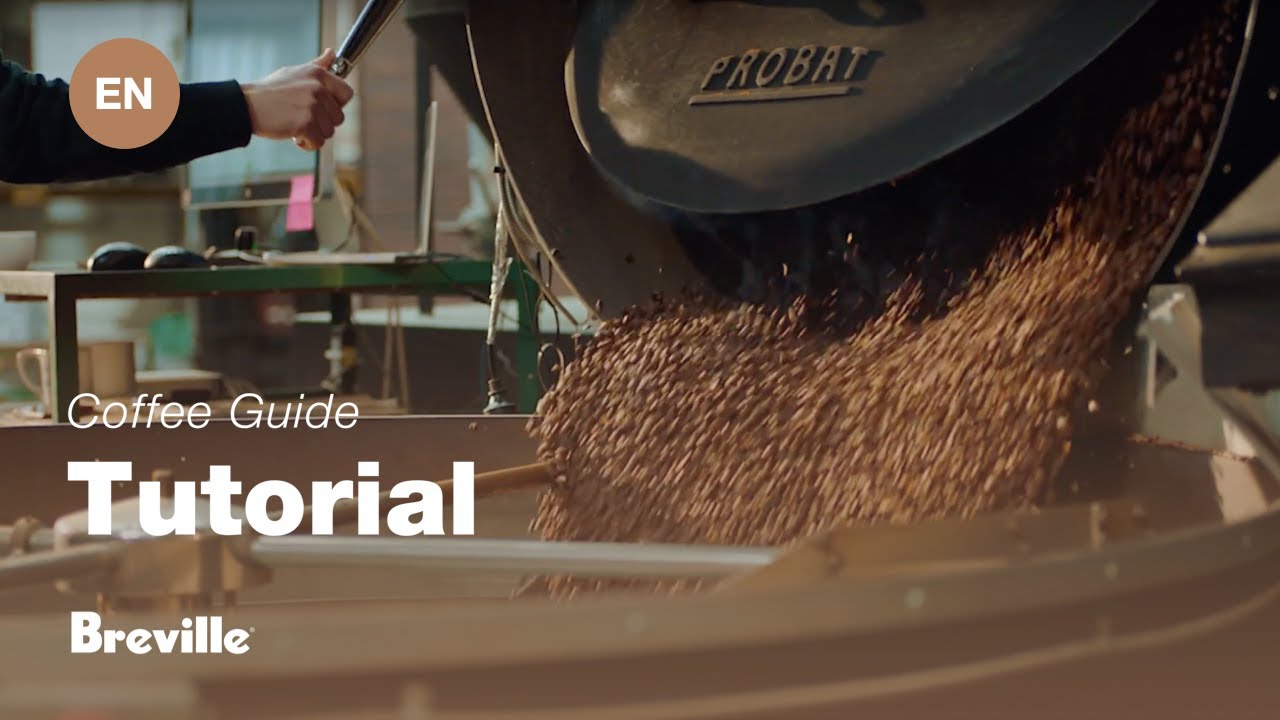 Breville coffee guide tutorial - Choosing the right beans 