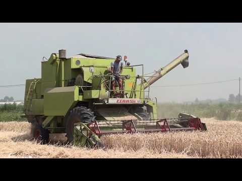 Loonw. Jonckheere - Slijpe - Claas Dominator 85