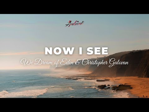 We Dream of Eden & Christopher Galovan - Now I See [relaxing guitar ambient]