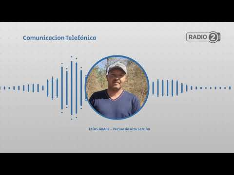 Denuncian matanza de perros para "liberar la zona" en barrio Alto La Viña