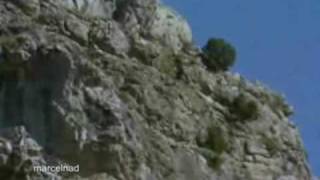 golden-eagle-drags-goats-off-cliff