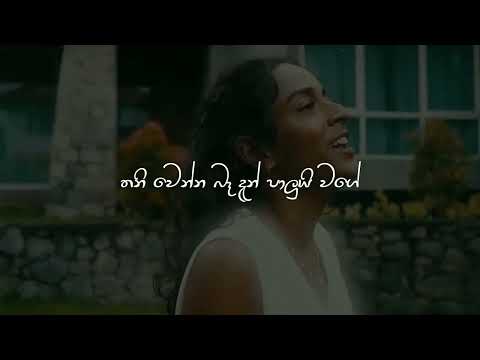 Nango ( නංගෝ ) - Chanuka Mora X Harinie | Official Music Video (Lyrics)