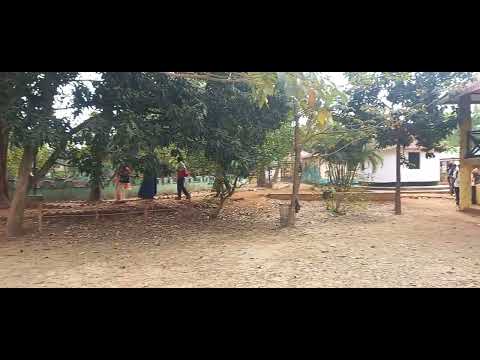 Srijoni silpo village# nature#