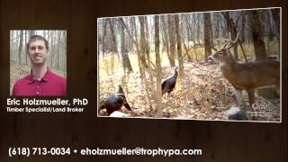 United Country Trophy Properties and Auction - Eric Holzmueller  |  Land in Illinois