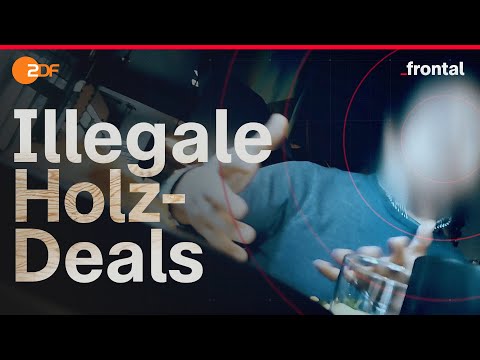 Undercover: Illegal deals with Russian timber | Tracing the trail | Frontal view