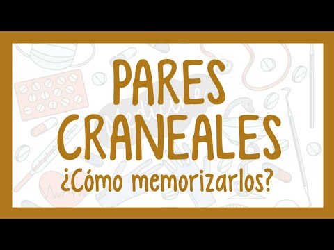 cómo MEMORIZAR los PARES CRANEALES