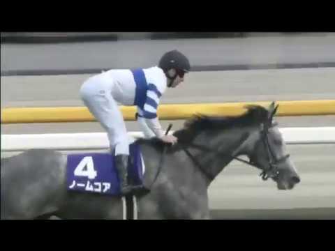 The Victoria Mile (1600m)  - 2019/05/12