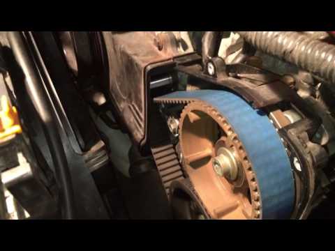 Gates racing timing belt; a myth??
