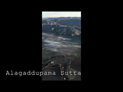 Teachings of the Buddha - Simile of the Snake - Alagaddupama Sutta; Buddhism