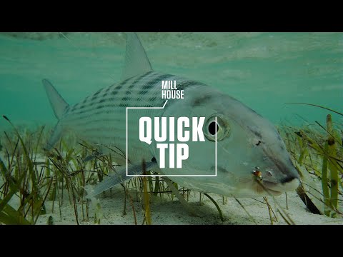 Ultipro Bonefish