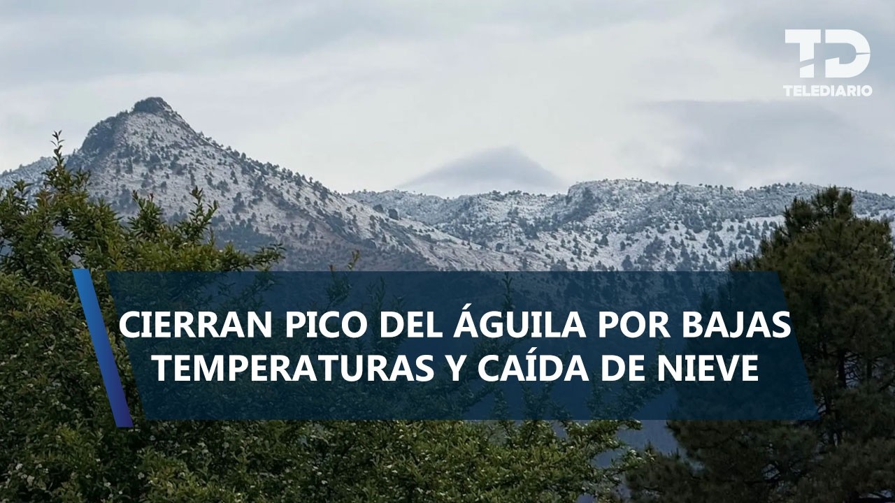 ¡Fuera de lo común! Reportan caída de nieve en el Ajusco; así se ve