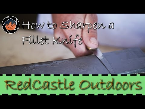 download lagu mp3 mp4 Best Sharpener For Fillet Knives, download lagu Best Sharpener For Fillet Knives gratis, unduh video klip Best Sharpener For Fillet Knives