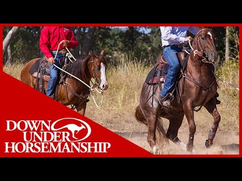 Clinton Anderson: Correcting Horses That Bite and Kick Other Horses - Downunder Horsemanship