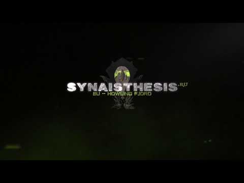 Synaisthesis vs G'huun Mythic Fire Mage POV