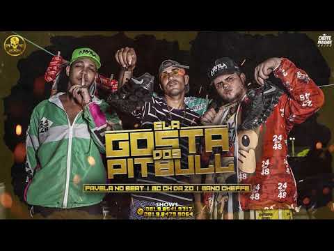MC CH DA ZO, MANO CHEFFE, FAVELA NO BEAT - ELA GOSTA DOS PITBULL